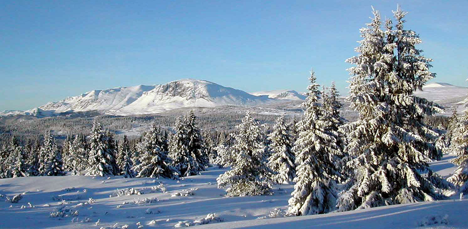 Sentrum Hemsedal - bilde tatt frå Steget
